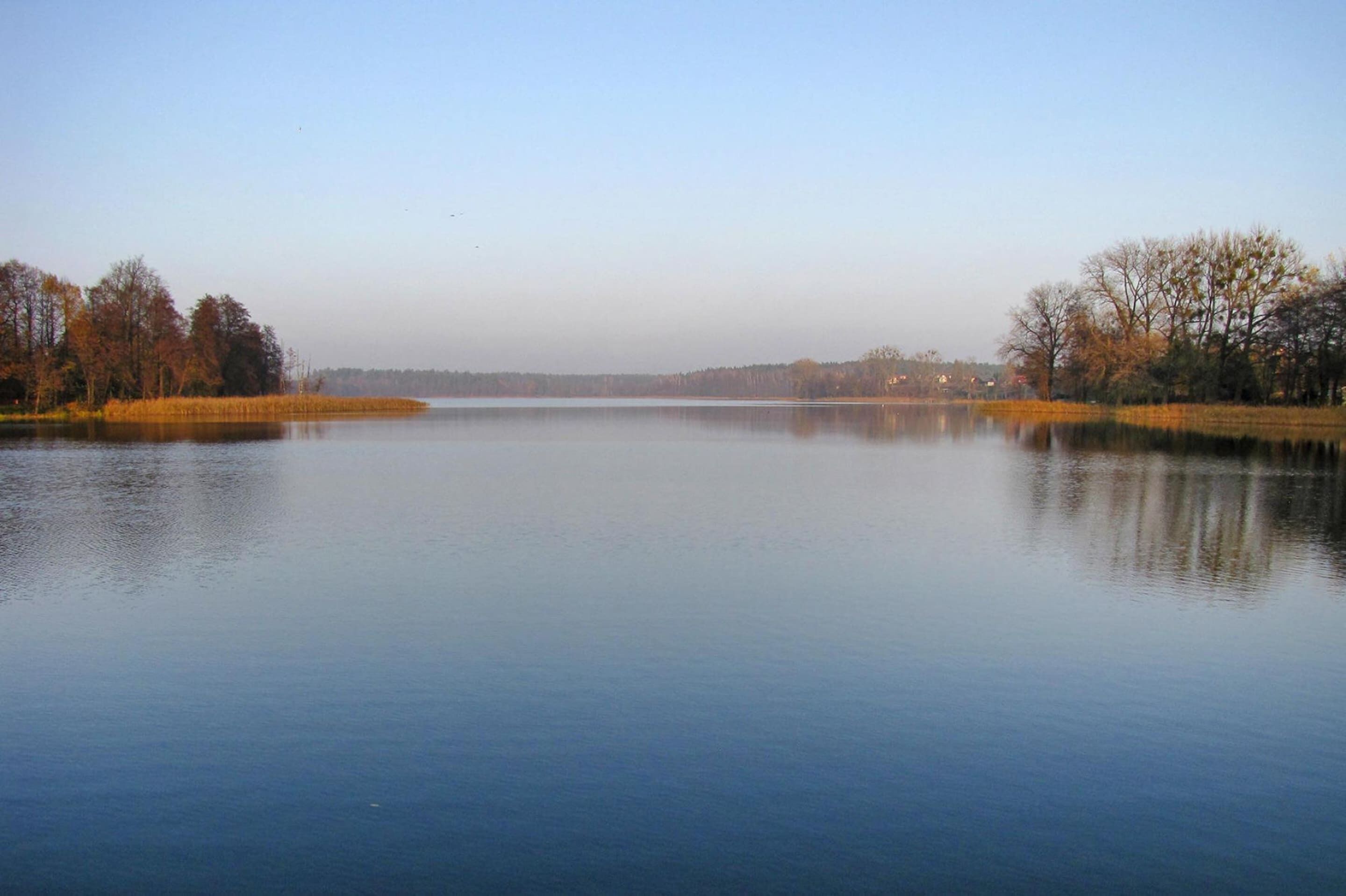 Un lago tranquilo con árboles a ambos lados y cielo despejado.