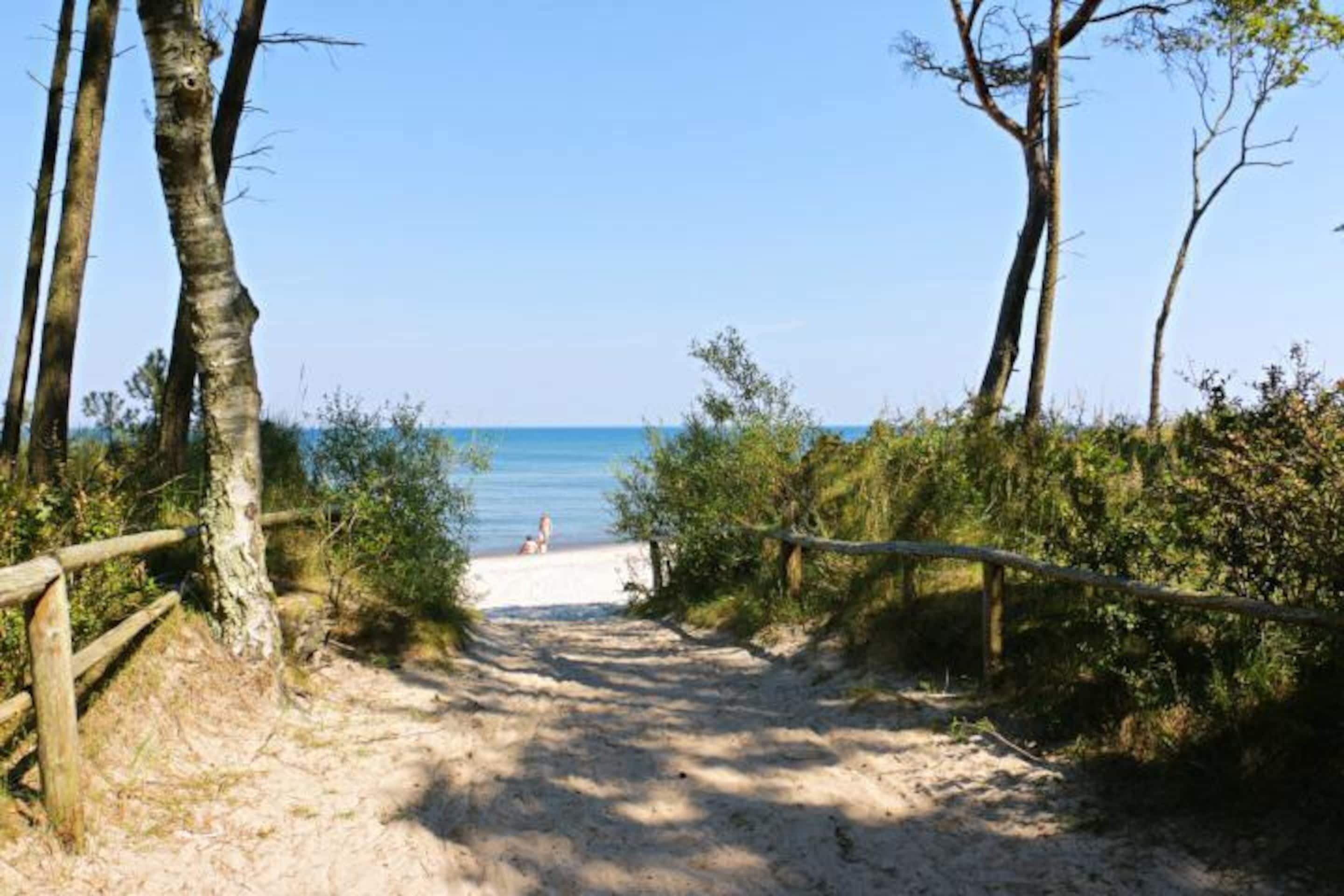A sandy path leading to a beach with a wooden fence on one side and trees on the other.