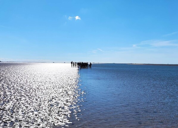 View from property - Exclusively Furnished 5-star Holiday Home Near the Beach (Dagebuell)