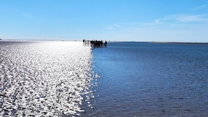 A beach with a group of people standing in the water. - Exclusively Furnished 5-star Holiday Home Near the Beach (Dagebuell)