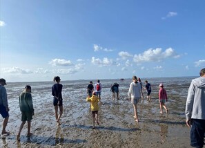 Hus Classic - 3 sovrum | Utsikt från boendet