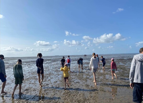 Comfort House, 3 Bedrooms | View from property - Exclusively Furnished 5-star Holiday Home Near the Beach (Dagebuell)