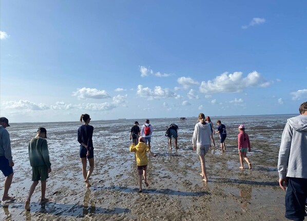 Classic House, 3 Bedrooms | View from property