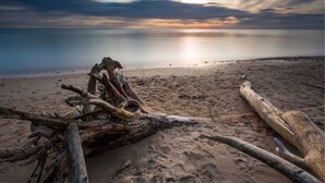 A beach with driftwood and calm water under a cloudy sky. - Houseboat in Ribnitz-damgarten (Ribnitz-Damgarten)