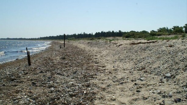 A rocky beach with a clear sky. - Holiday Complex Wenkendorf, Fehmarn-wenkendorf (Fehmarn)