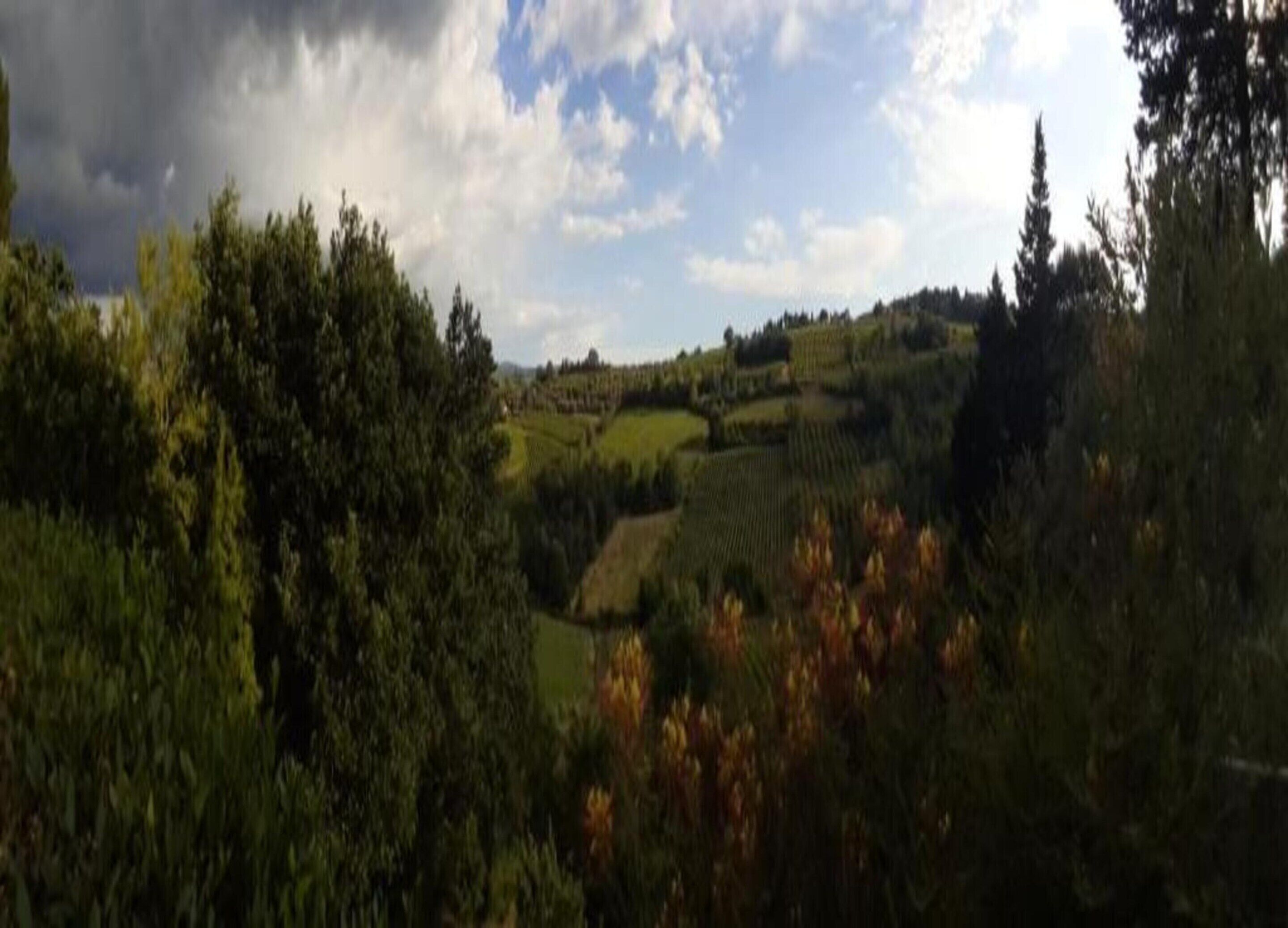Paisatge rural amb turons ondulats, boscos densos i un cel amb núvols dispersos.