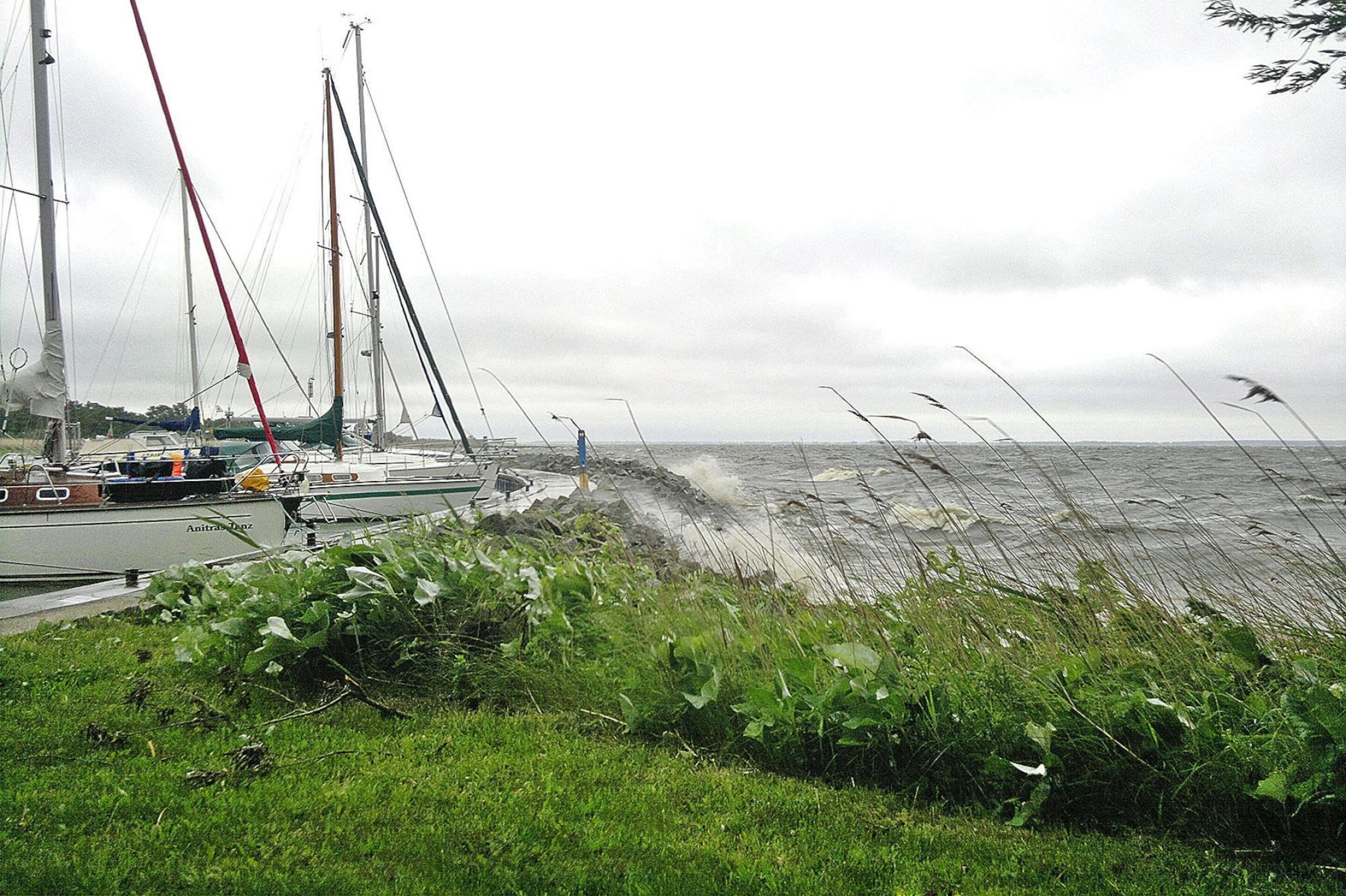 Una marina costera con veleros amarrados, un área verde al frente y un cielo nublado.
