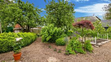 Comfort Apartment, 1 Bedroom | Garden