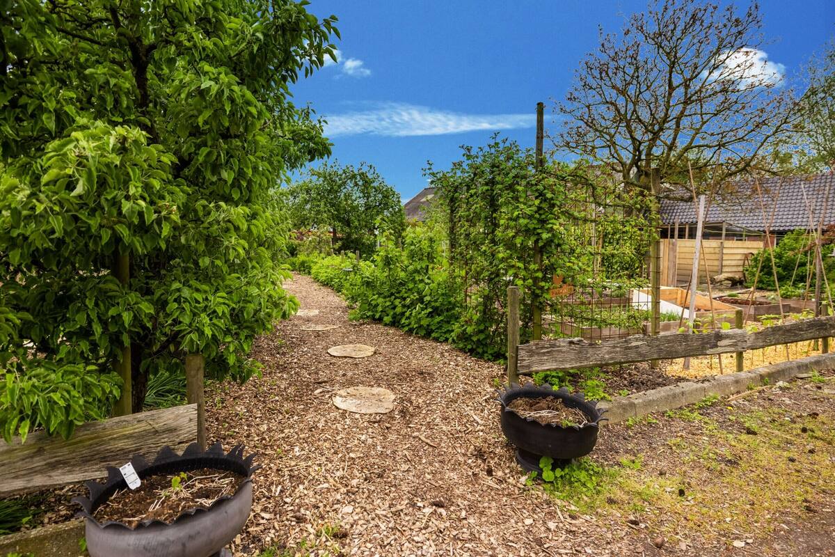 Een tuinpad met mulch, houten traptreden en plantenpotten.