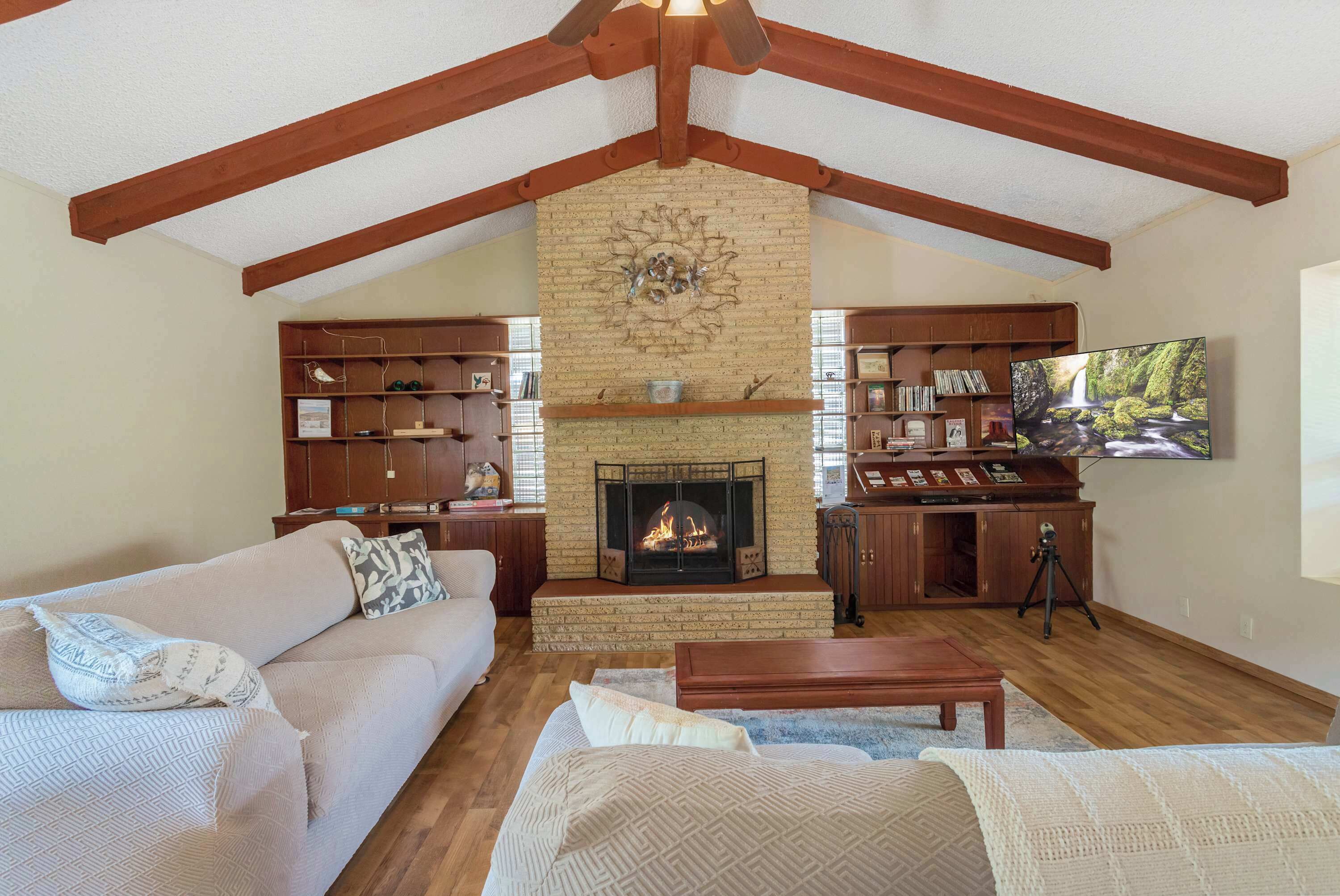 TV, fireplace, video games