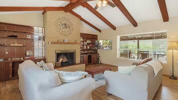 TV, fireplace, video games