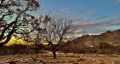 Wine Country Adobe | Historic Willcox Retreat