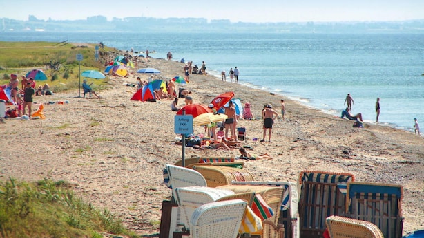 Ein Strand mit vielen Zelten und Liegestühlen.