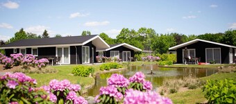 Modern Chalet on the Water in the Brabant Kempen