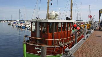 Comfort Apartment, 1 Bedroom | View from property