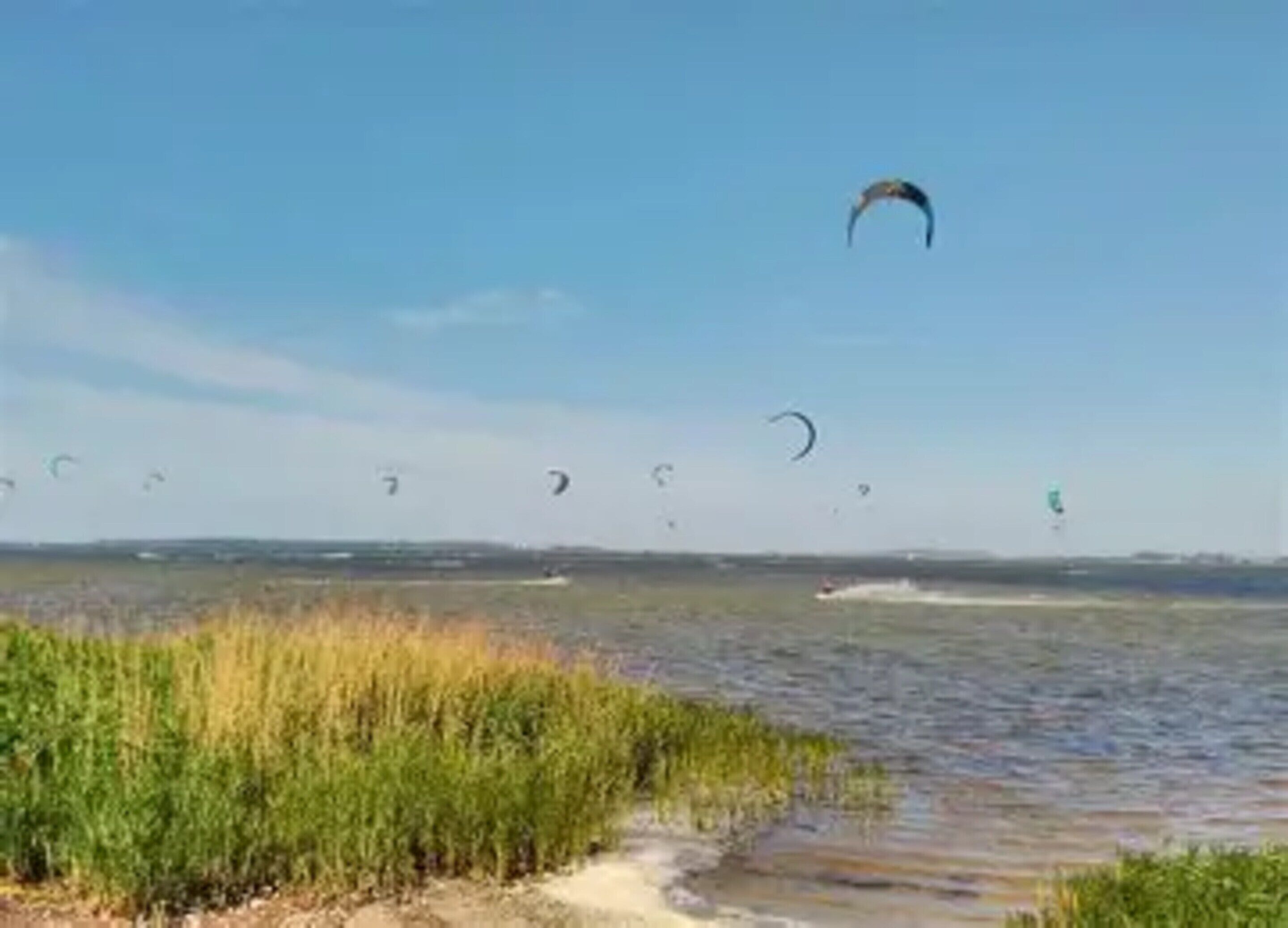 A coastal area with multiple kitesurfing activities.