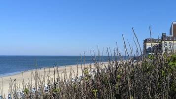 Vista desde la propiedad