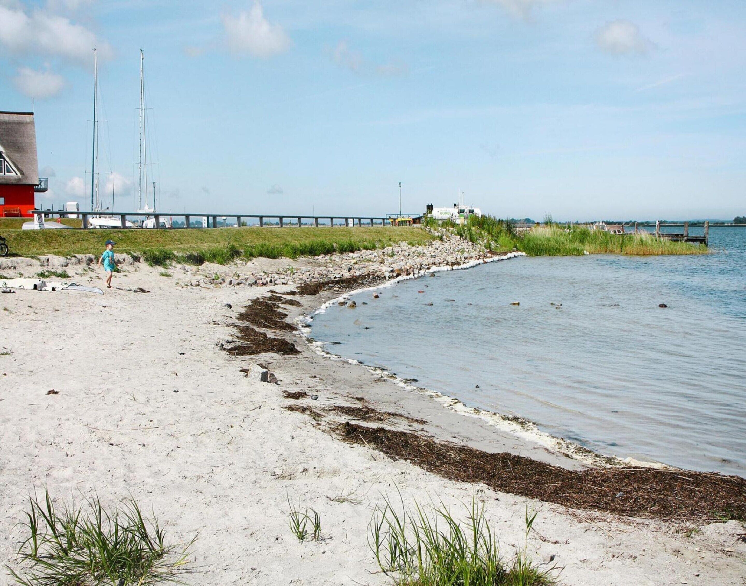 Una playa arenosa con un muelle al fondo, una zona con césped y una masa de agua.