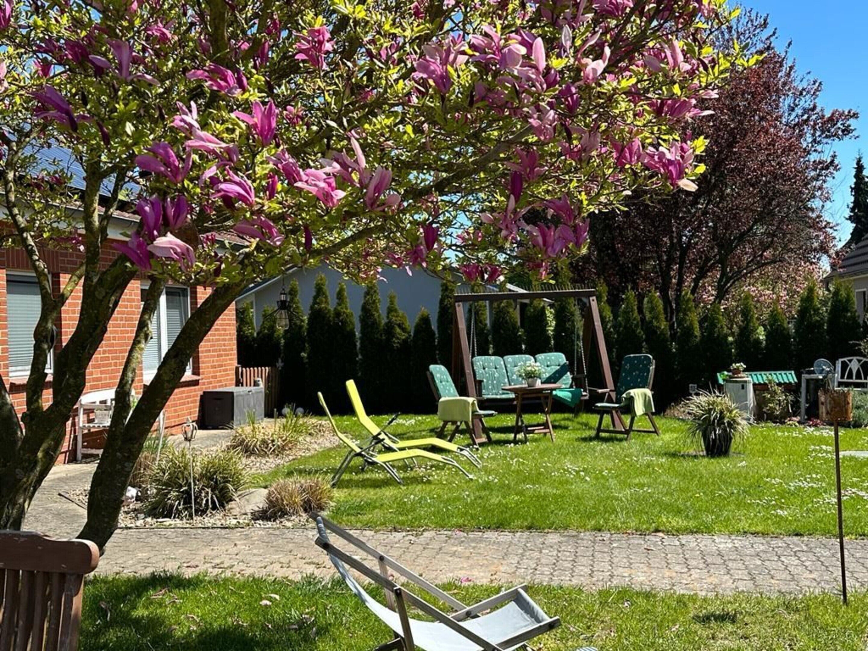 Appartement Classique, 1 chambre | Jardin