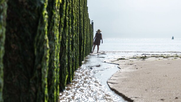 A beach with a person walking along a path lined with green seaweed-covered rocks. - Comfortable Chalet With Airco, on a Holiday Park, at Just 1 km. From the Beach (Koudekerke)