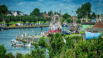 Apartemen Klasik, 2 kamar tidur | Pemandangan dari properti