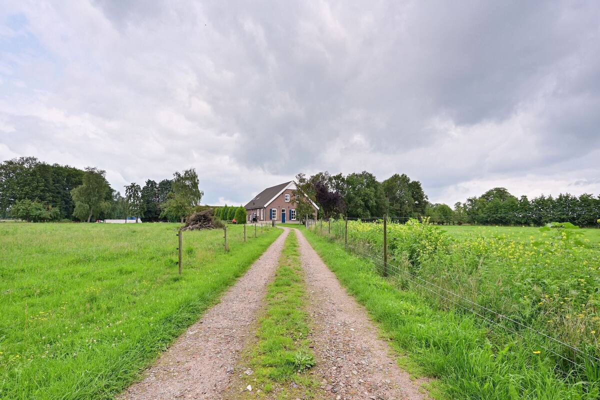 A rural path leading to a house surrounded by fields and trees.
