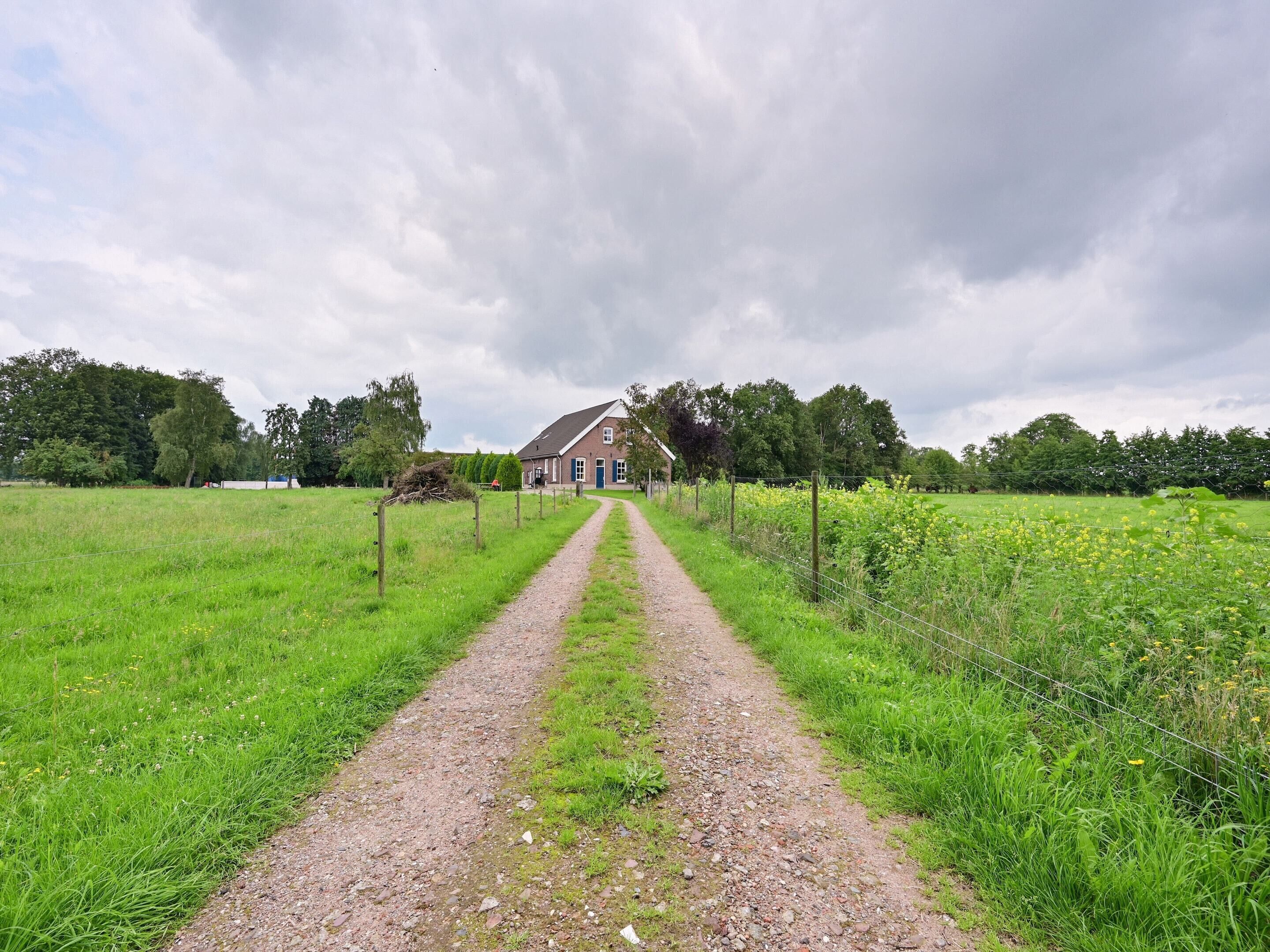 Un sentier rural menant à une maison entourée de champs et d’arbres.
