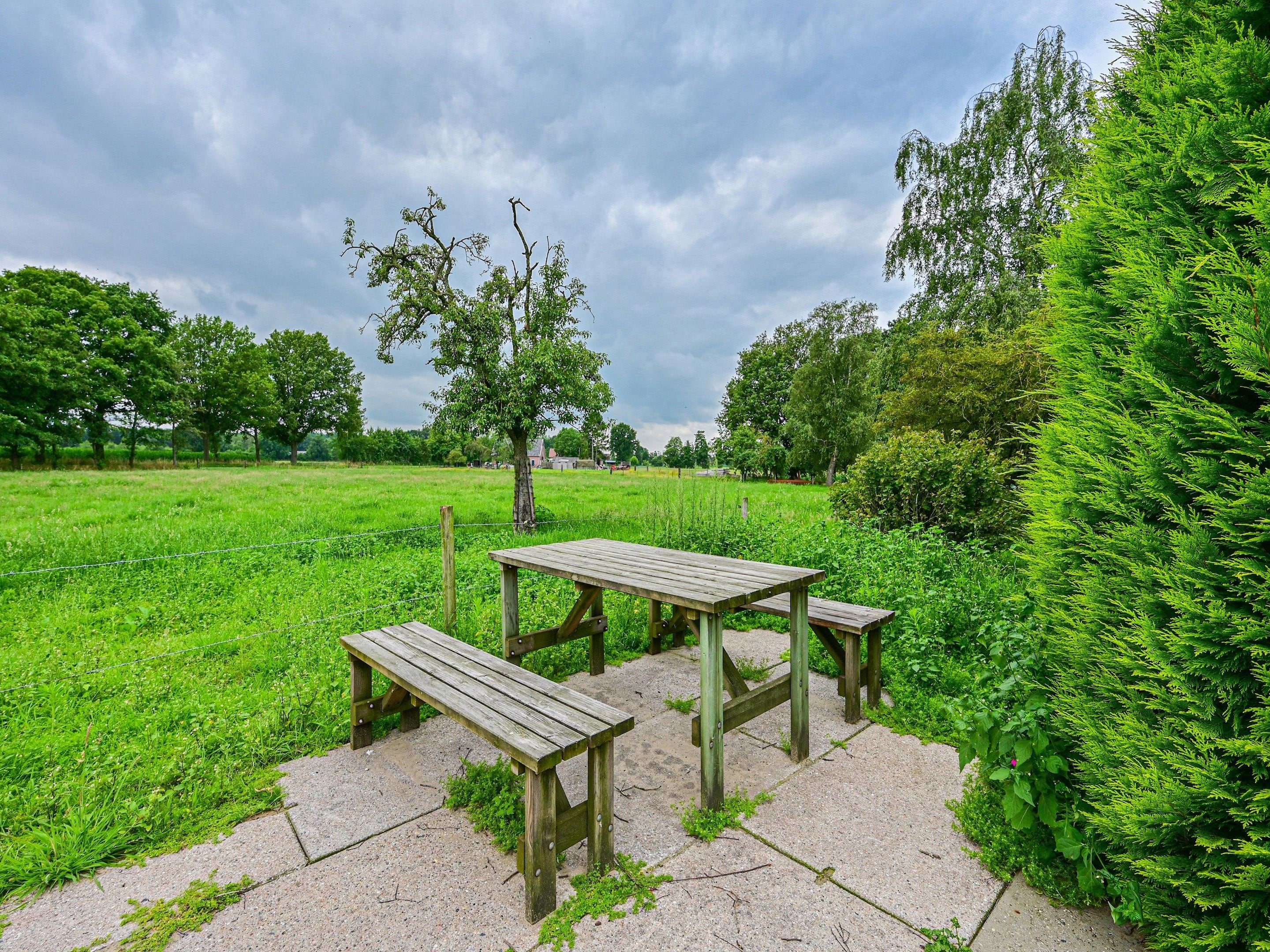 A picnic table set in a grassy field with a hedge on one side.