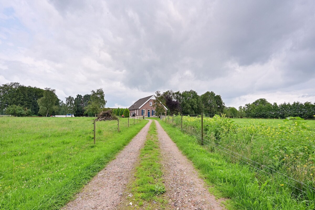 Un sentier rural menant à une maison entourée de champs et d’arbres.