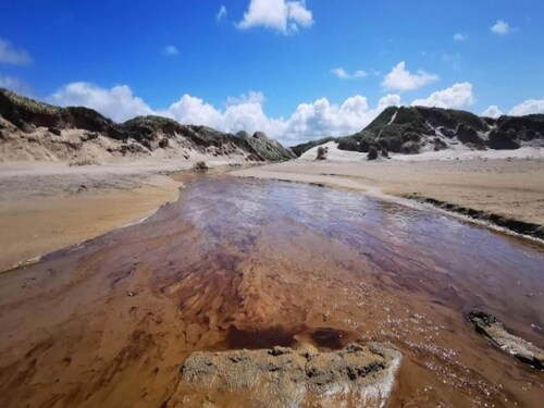 6 Person Holiday Home in Brovst