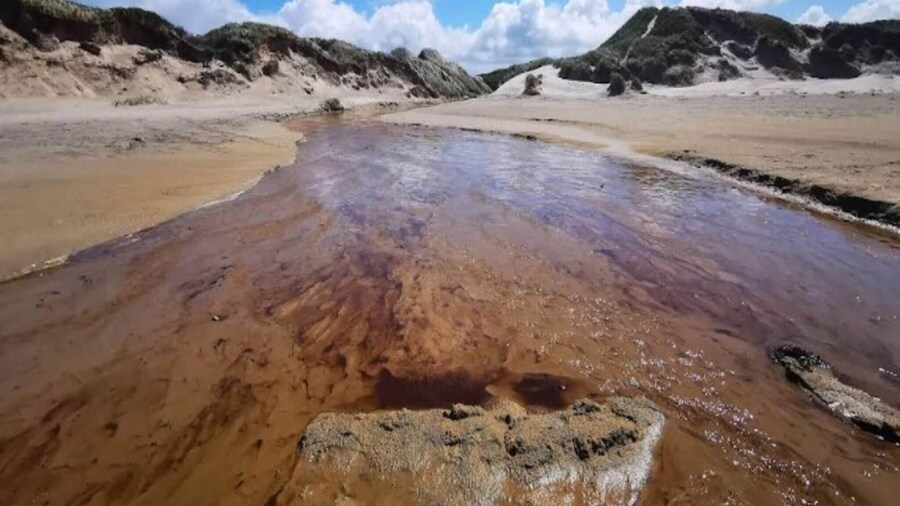 6 Person Holiday Home in Brovst