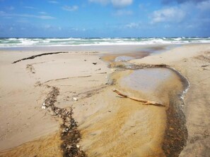Une plage de sable avec un grand bassin de marée et des algues.