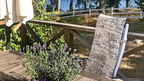 A wooden deck with a potted plant and a paper with handwritten notes. - 4 Person Holiday Home in Kyrkhult (Kyrkhult)