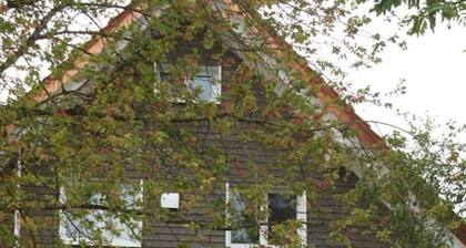 Esche Comfortable Holiday Residence