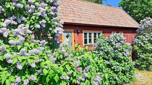 Una cabaña roja de madera con techo de tejas, rodeada de exuberante follaje y grupos de flores lilas.