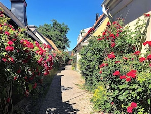 Comfort House, 2 Bedrooms | Property grounds - 4 Person Holiday Home in Gotlands.tofta (Gotlands Tofta)