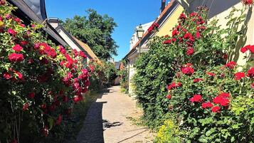 Hus – comfort, 2 soverom | Overnattingsstedets uteområder
