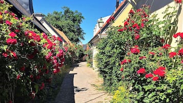 Comfort House, 2 Bedrooms | Property grounds