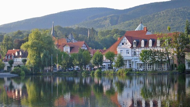 A lakeside town with traditional architecture, including a church and a building with a red roof. - Apartment Haus am Berg, Lonau (Herzberg am Harz)