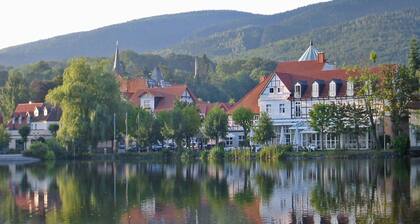 Apartment Haus am Berg, Lonau
