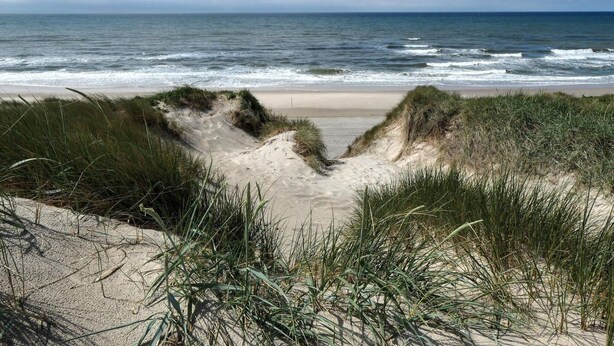A beach with sand dunes and grass in the foreground, leading to the ocean. - 8 Person Holiday Home in Ringkobing (Ringkobing)