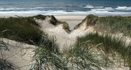 8 Person Holiday Home in Ringkobing