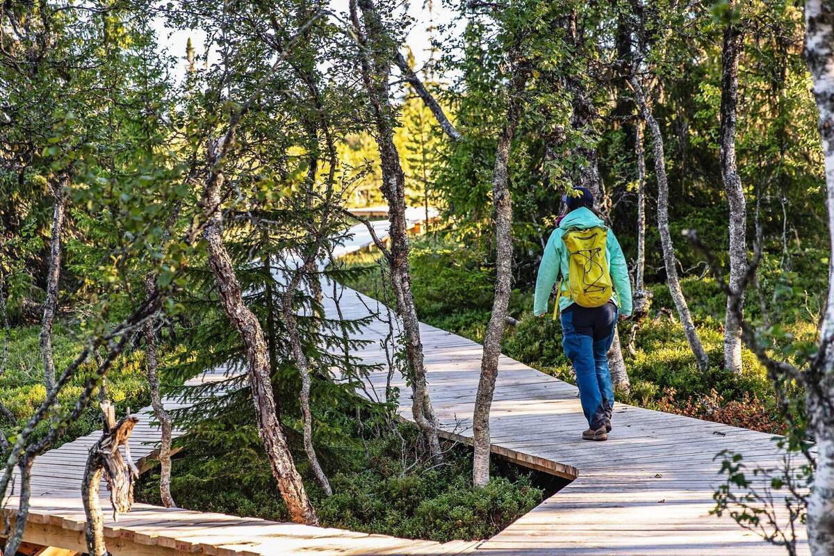 A person walking on a wooden boardwalk surrounded by trees.