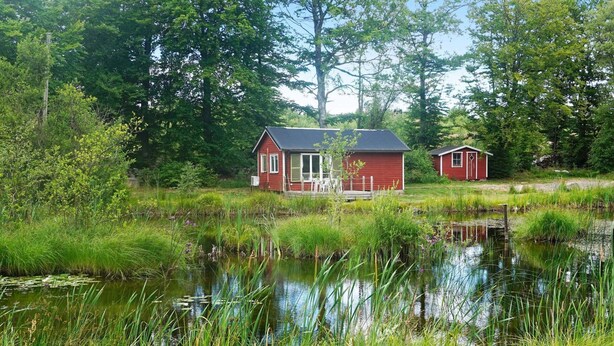 A red cabin with a porch and a smaller shed, surrounded by lush greenery and a pond. - 4 Person Holiday Home in Smedstorp (Smedstorp)