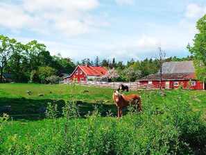 Hus Comfort - 3 sovrum | Exteriör