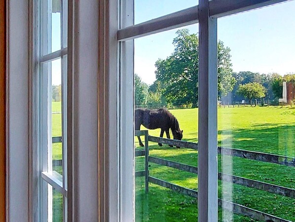 Classic-talo, 2 makuuhuonetta | Sisätilat