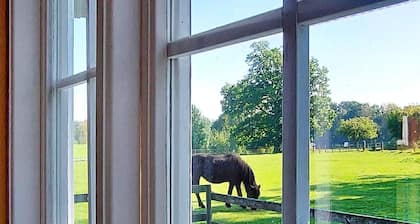 6 Person Holiday Home in Bolmso