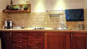 A kitchen with wooden cabinets, a countertop, a sink, and a shelf with glassware and plants. - Apartment in the city center (Kraków)