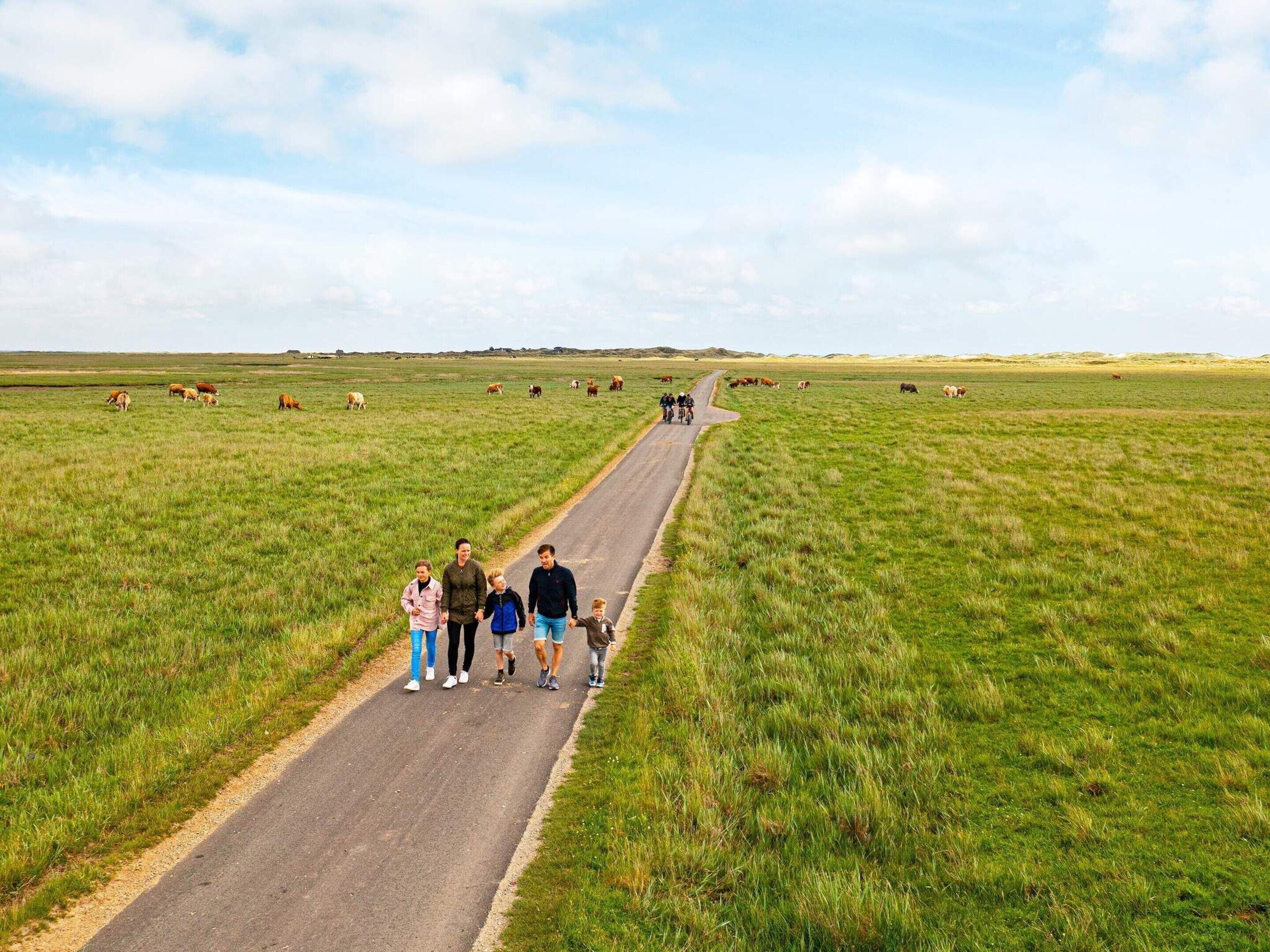 A rural road with a family walking along it, surrounded by open fields and grazing cattle.