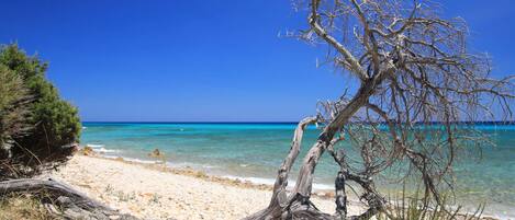 Vista mare